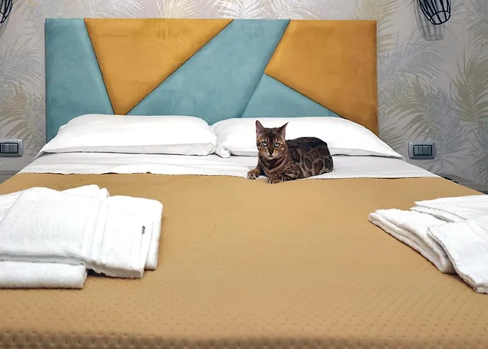 Toc Toc Alojamento de Acomodação e Pequeno-almoço