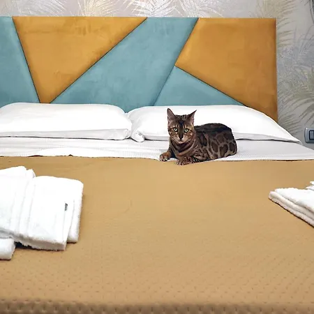 Toc Toc Bed & Breakfast